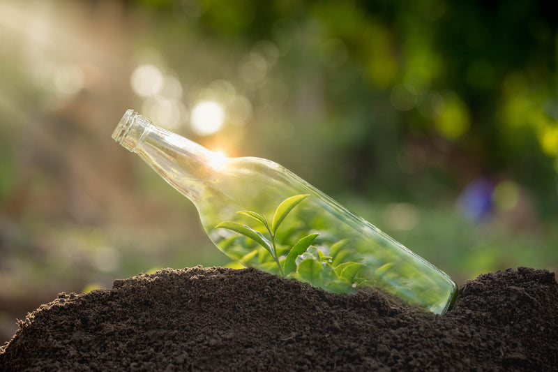 Glass Bottles Are Better Than Cans: The Sustainability Factor