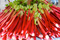 4 Delicious Spring Rhubarb Recipes