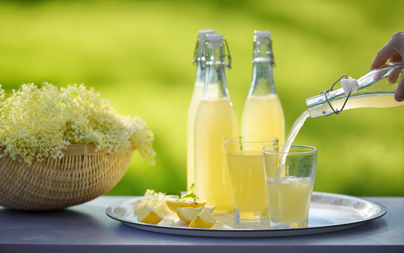 Floral Flavours for Wellness: Crafting and Preserving Elderflower Presse on a Commercial Scale